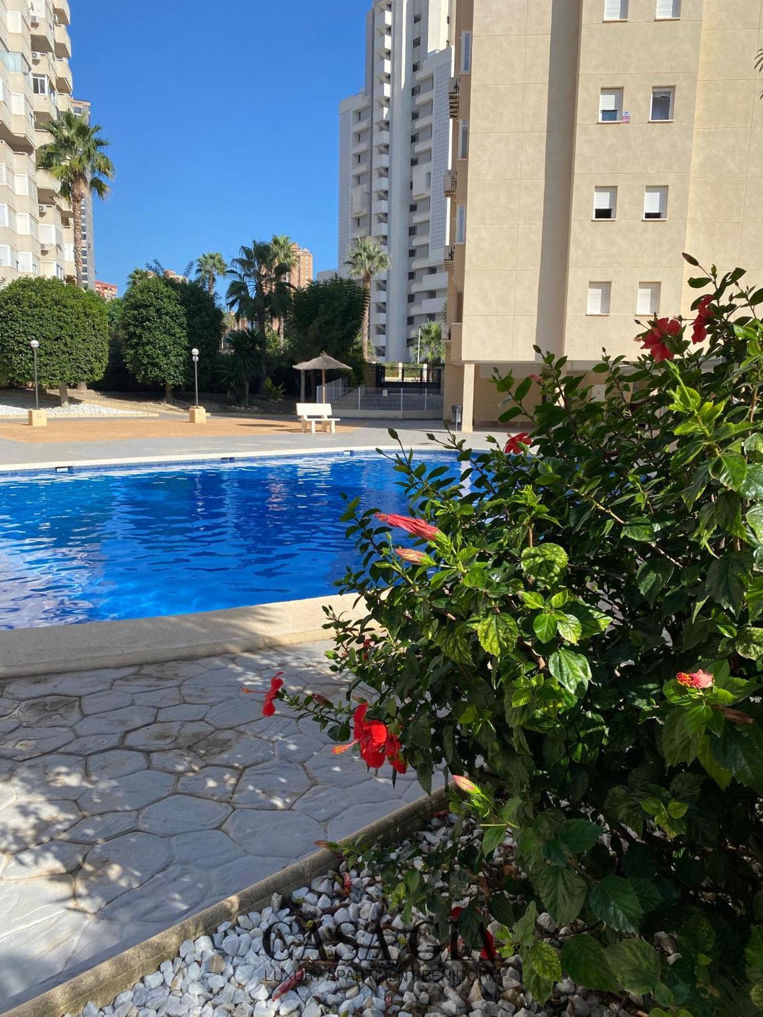Casa Gia L Luxury Apartment Benidorm Bagian luar foto